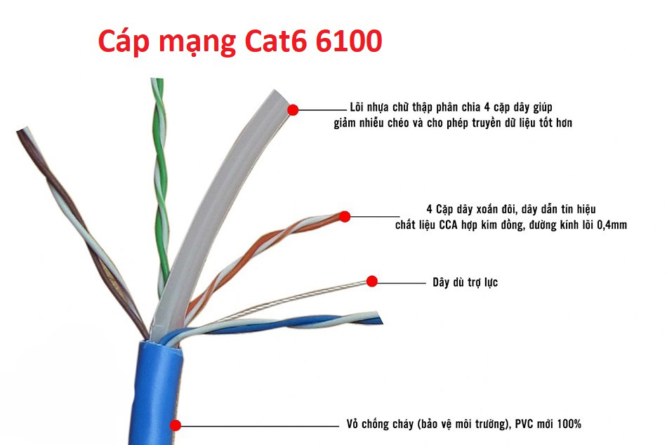 CAT 6